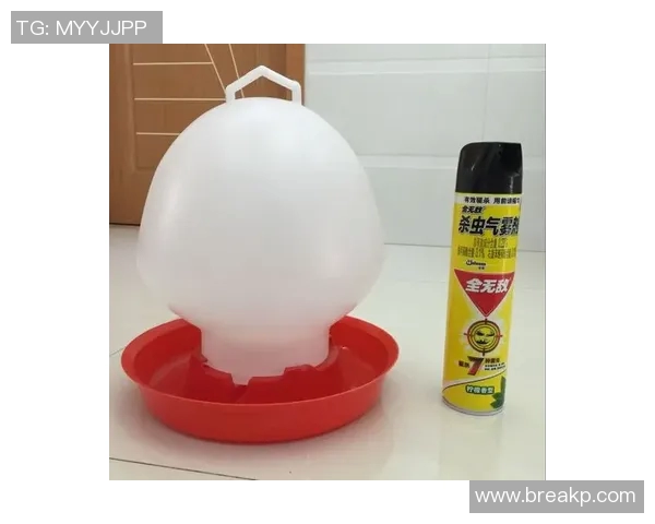 足球明星必备保温水壶助你畅享运动时刻提升饮水体验 足球明星必备保温水壶助你畅享运动时刻提升饮水体验