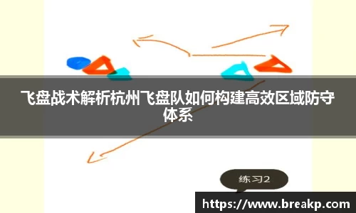飞盘战术解析杭州飞盘队如何构建高效区域防守体系